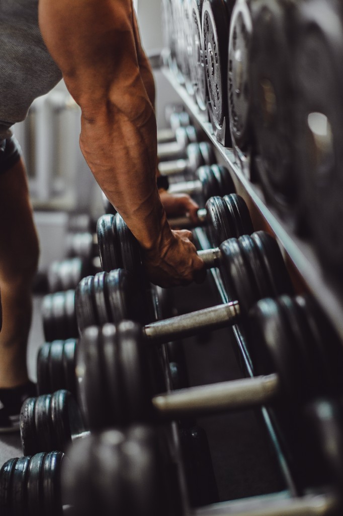 Treino de musculação